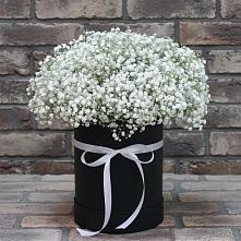 Цветочная композиция из Гипсофила в шляпной коробке #REPLACE_PRED# Рощино
