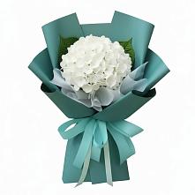 Букет цветов из:  Гортензия в Рощино